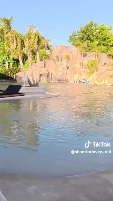 Así es la mansión de Carlos Tevez y Vanesa Mansilla en Buenos Aires