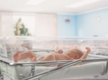 Caso bebas intercambiadas: la verdad que salió a la luz 40 años después y el complejo debate por la herencia