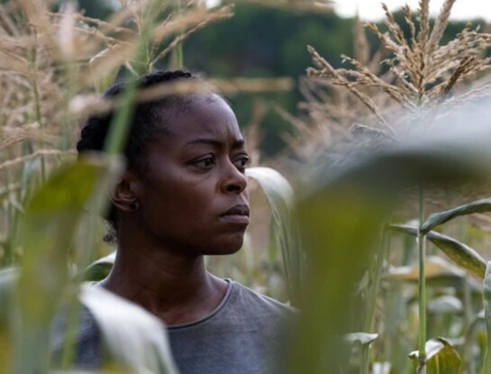 Qué ver en Netflix: la película de acción canadiense sobre un futuro distópico y postapocalíptico que está en el top 1