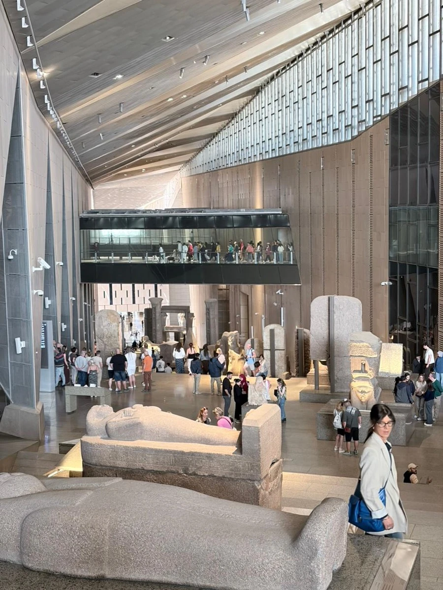 La incorporación estratégica de luz natural permite iluminar los espacios principales sin afectar las condiciones de conservación de las piezas.