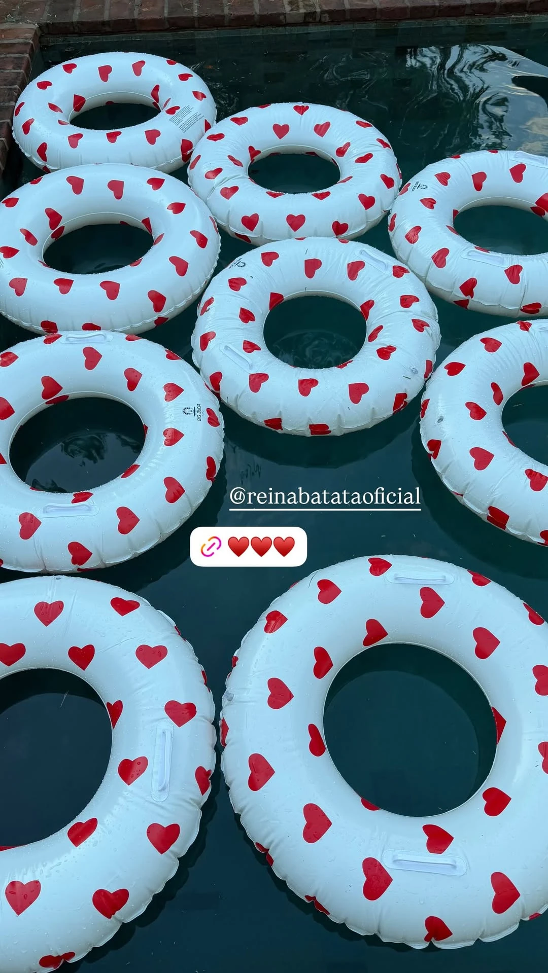 Las invitadas disfrutaron de una tarde de piletas e inflables. Fotos: IG.