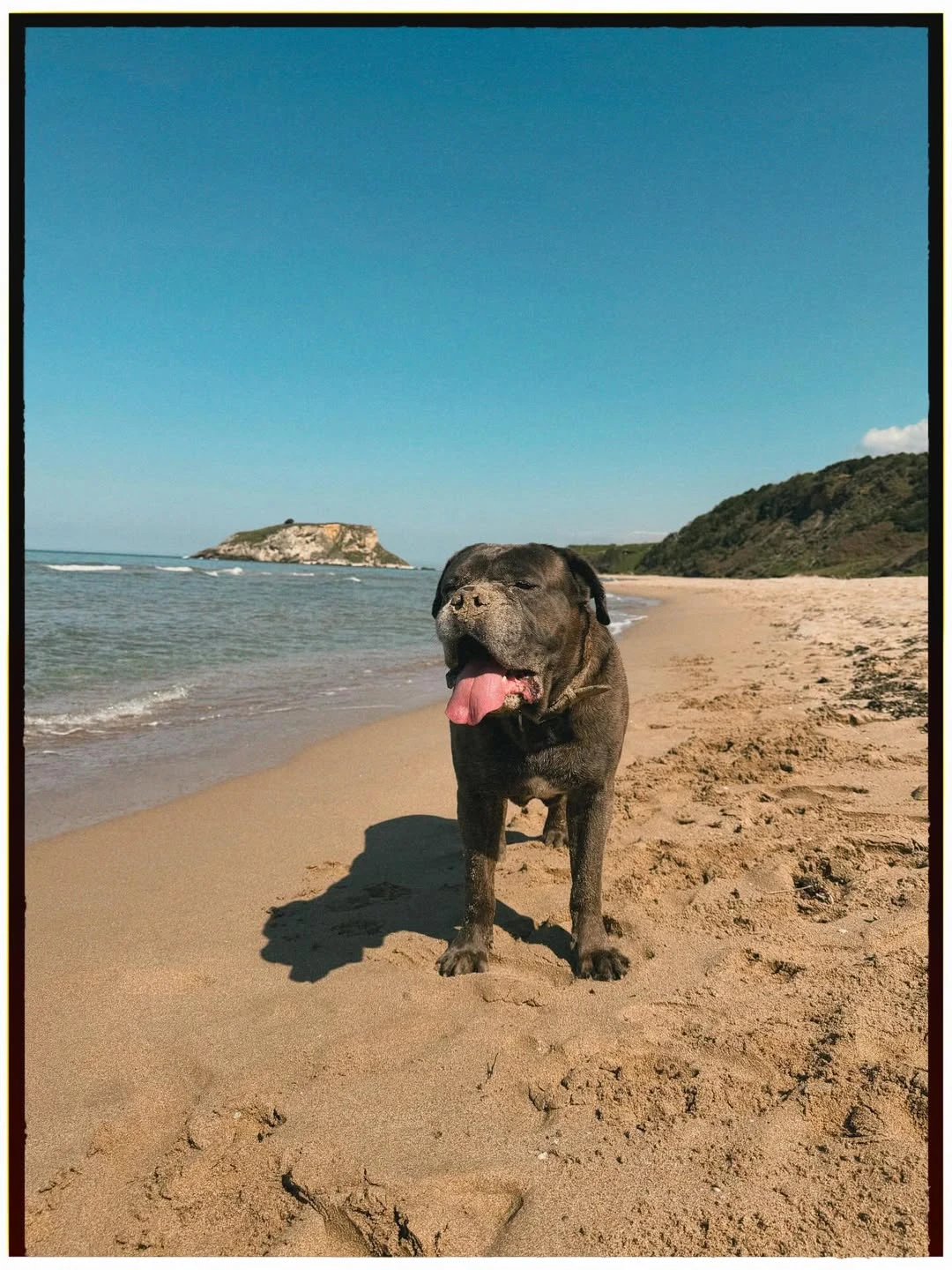 El futbolista sacó a pasear a su mascota. Foto: IG. 