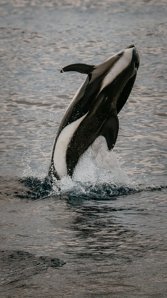 Travesía por la Antártida