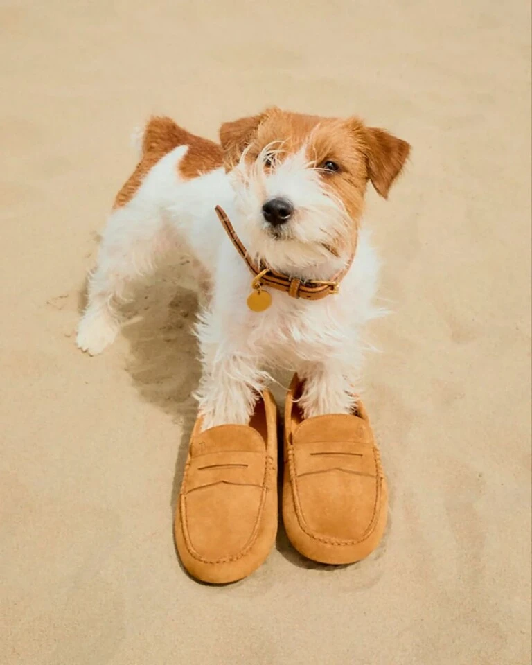 Tod's colección verano 2026.