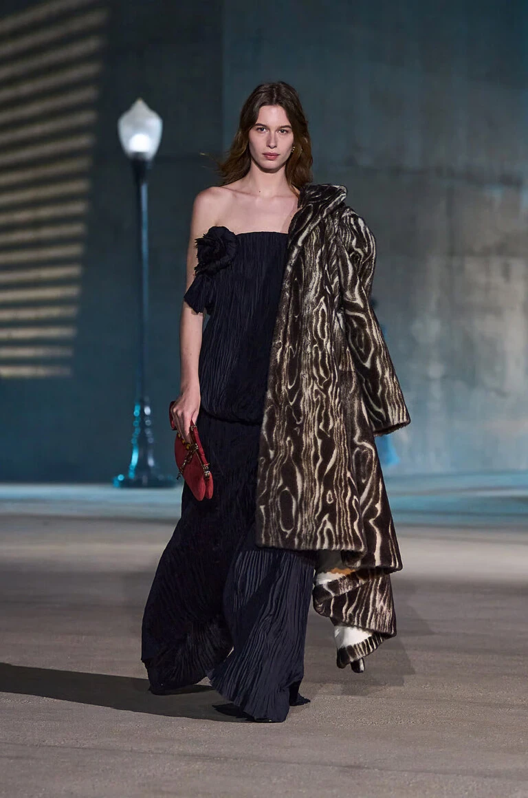 Dior Cruise 2027
