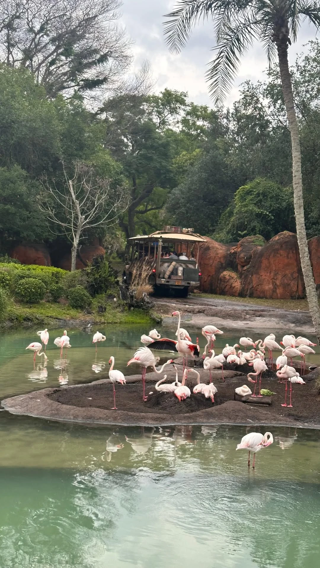 Las fotos del viaje de 15 de Allegra Cubero Nicole Neumann, Manu Urcera y familia disfrutando de Disney 