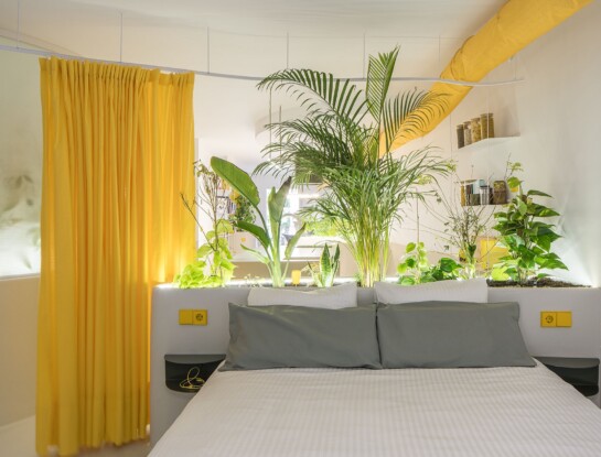 Una innovadora casa experimental elimina los límites entre interior, naturaleza y bienestar 