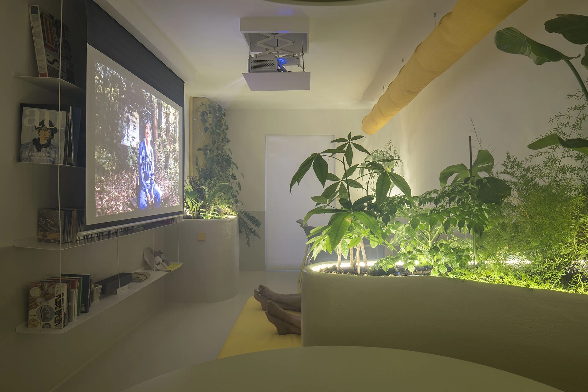 Sus proyectos exploran el potencial de la luz, la transparencia y la materia
