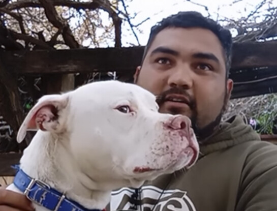 La historia de Agosto, el perrito rescatado de la casa de Claudio Barrelier tras el femicidio de Agostina Vega