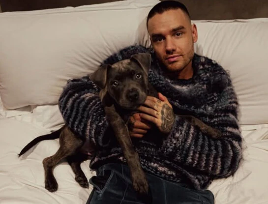 liam payne