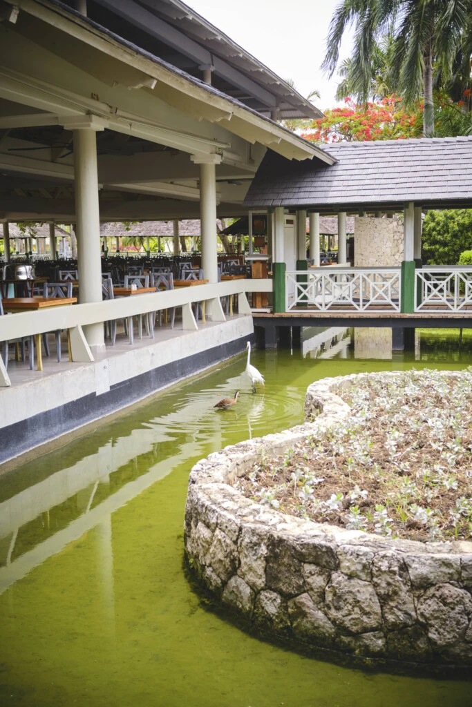 Lujo consciente en Punta Cana: cómo es la tendencia que redefine el descanso premium a través de la gastronomía inteligente y el rescate del ecosistema