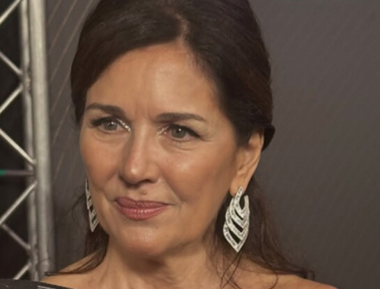 Andrea Frigerio deslumbró con un vestido sirena de Fabián Zitta para conducir los Premios Sur