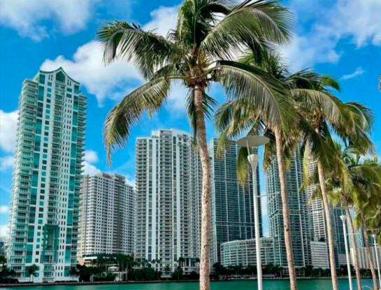 Mundial 2026 en Miami: cómo moverse por la ciudad para llegar al estadio y a las mejores atracciones