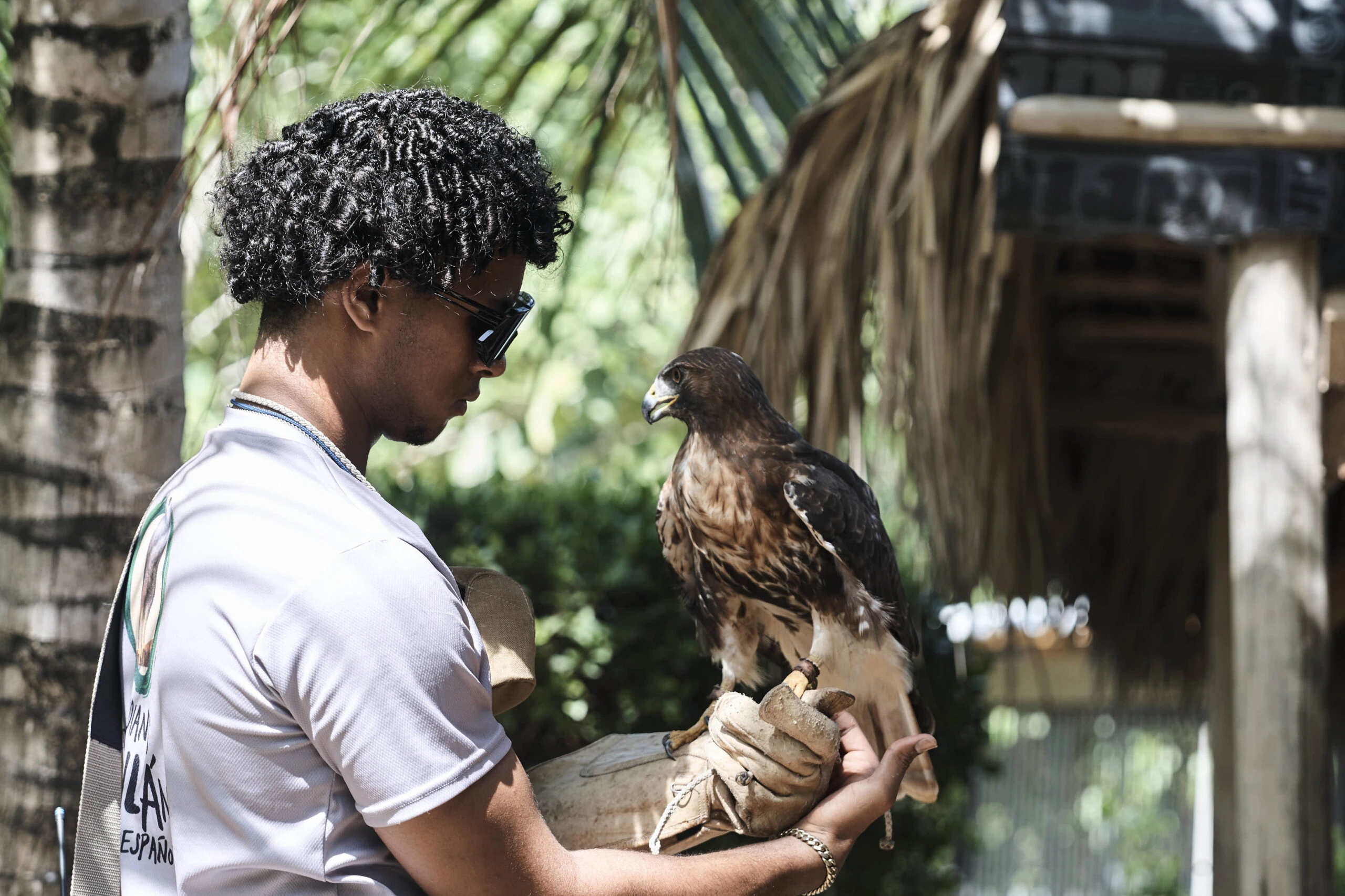 Lujo consciente en Punta Cana: cómo es la tendencia que redefine el descanso premium a través de la gastronomía inteligente y el rescate del ecosistema
