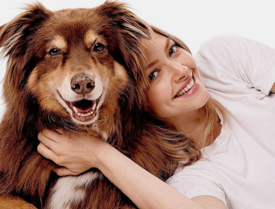 ¿Tu perro o gato rompe cosas cuando se queda solo? Qué puede estar intentando decirte con ese comportamiento