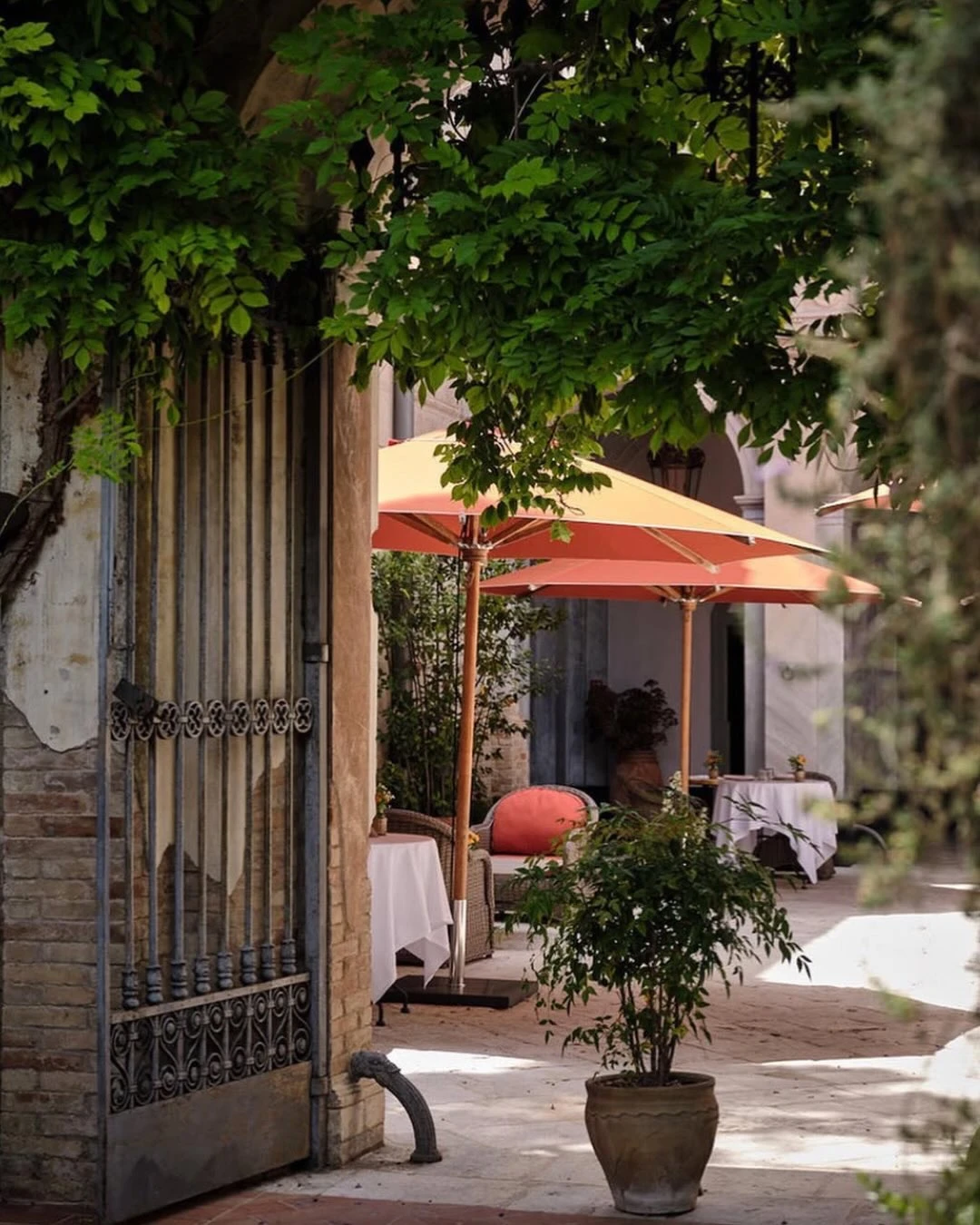 Los jardines mediterráneos funcionan como una continuidad natural de los interiores. 