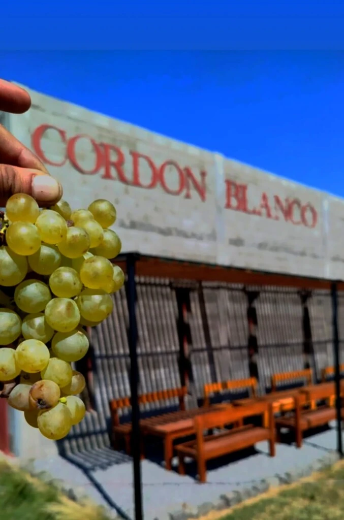 Cordón Blanco
