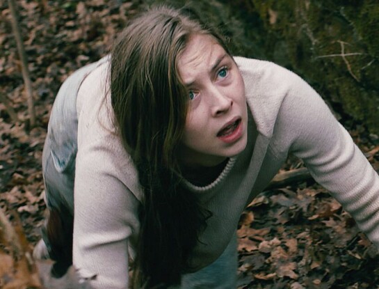 Qué ver en Netflix: el thriller sobre una mujer que tiene que sobrevivir en un bosque y está en el top 2