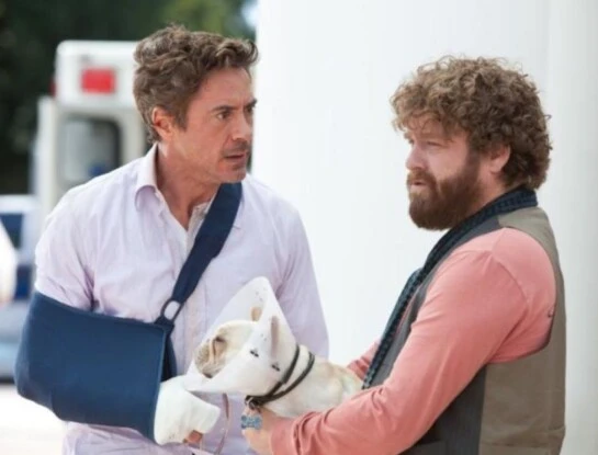 "Todo un parto", la comedia protagonizada por Robert Downey Jr. y Zach Galifianakis, está entre las películas más vistas de Netflix.