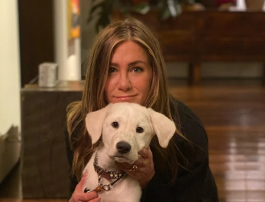 Ohana: así es la espectacular mansión que Jennifer Aniston diseñó en Bel Air y se convirtió en su máximo refugio