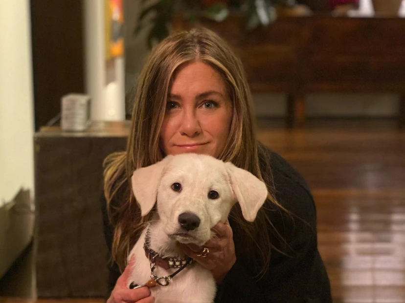 Ohana: así es la espectacular mansión que Jennifer Aniston diseñó en Bel Air y se convirtió en su máximo refugio