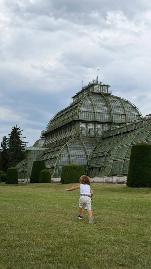 La familia también visitó el Palmenhaus, el histórico invernadero conocido como la Casa de las Palmeras, donde Nicole mostró imágenes de su hijo explorando el lugar también rodeado de vegetación.