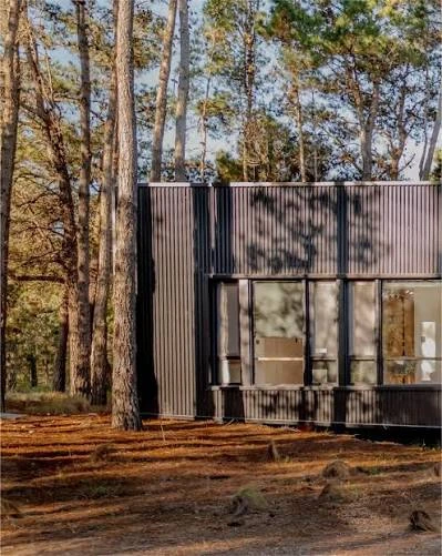 La casa de Juliana tiene fachada negra. Se respetó el bosque a la hora de construirla.