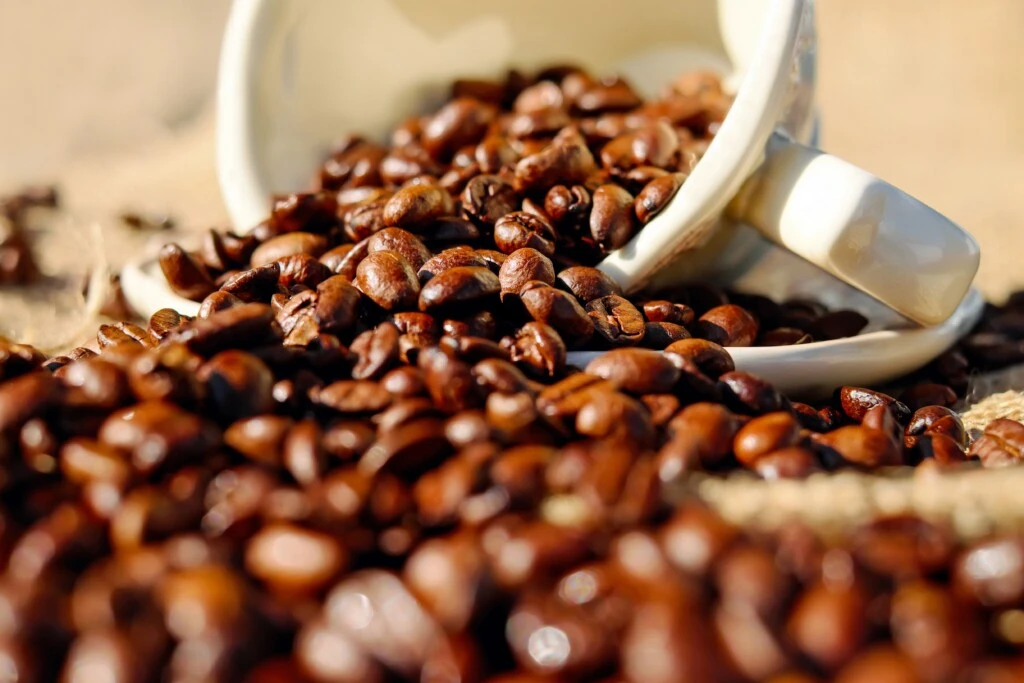 El nivel de tostado influye directamente en el perfil aromático y el sabor que tendrá cada taza de café.