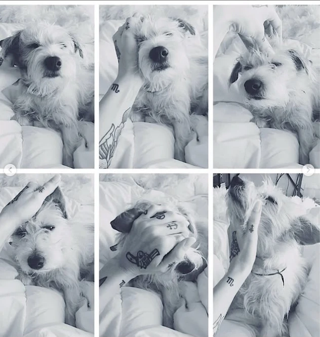 Cande Tinelli despidió a su perrita Linda.