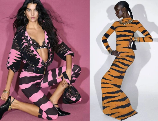 Pucci Fall 2026