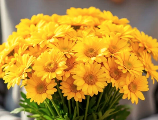 Flores amarillas