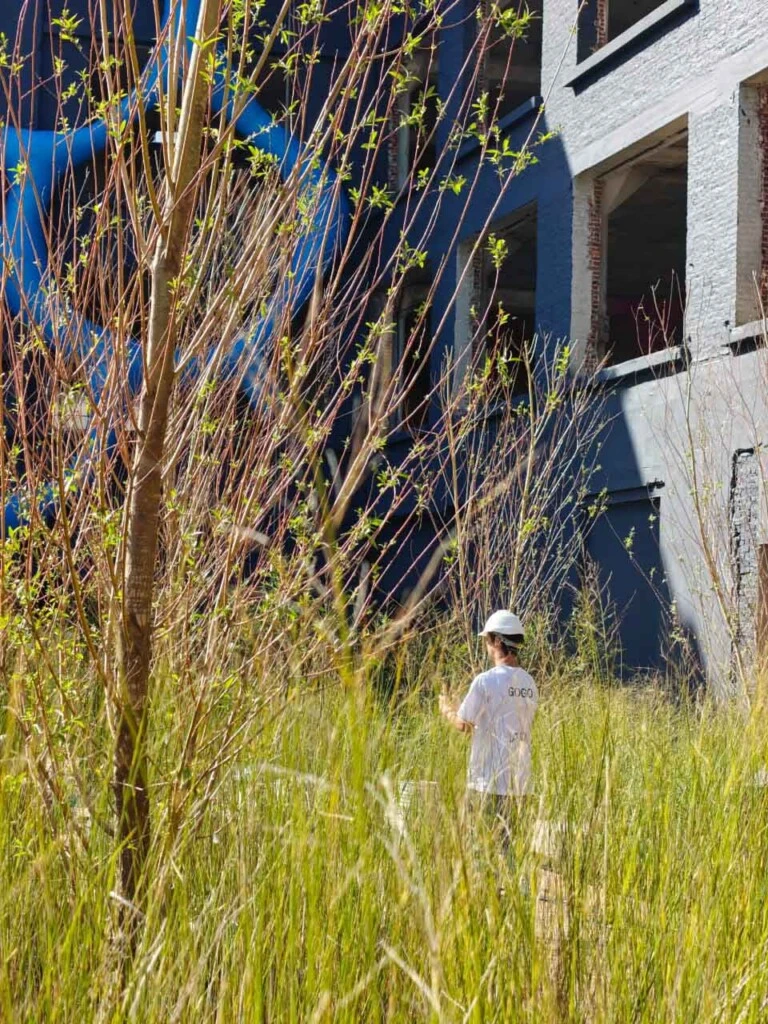 Un jardín menos controlado y más vivo