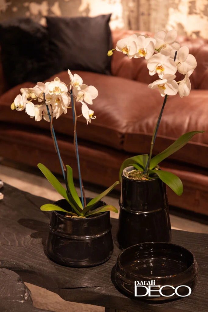 Espacio Para Ti Deco