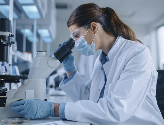 Alerta sanitario por el nuevo virus Shamonda tras conocerse el primer caso letal en humanos: qué es y cómo se transmite
